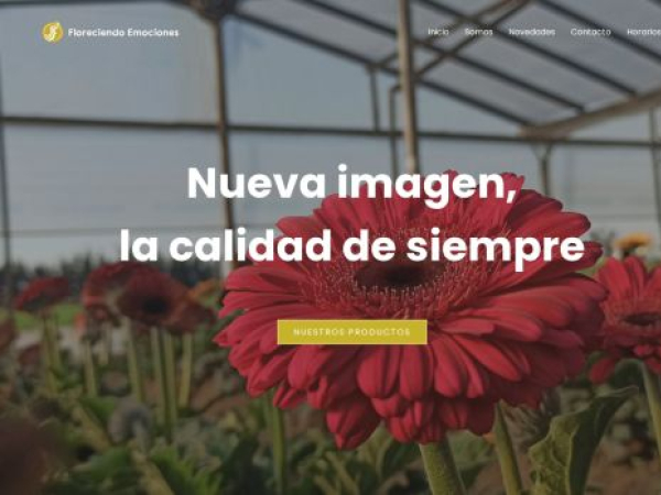 floreciendoemociones.com